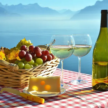The Nest Lavaux