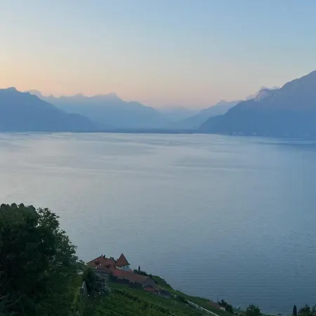 The Nest Lavaux Saint-Saphorin