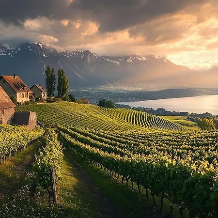 The Nest Lavaux * Saint-Saphorin