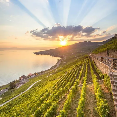 The Nest Lavaux Apartment