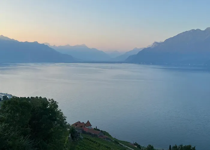The Nest Lavaux Saint-Saphorin