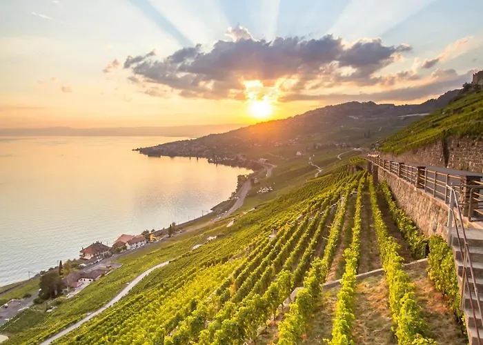 The Nest Lavaux Appartement