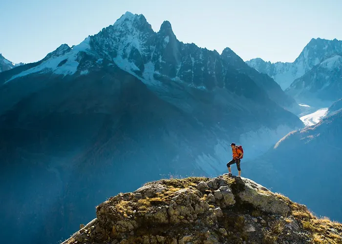 The Nest Lavaux * Saint-Saphorin